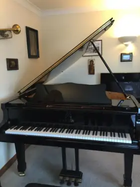Click Here To Enlarge This Photo Of And more Grand piano moves